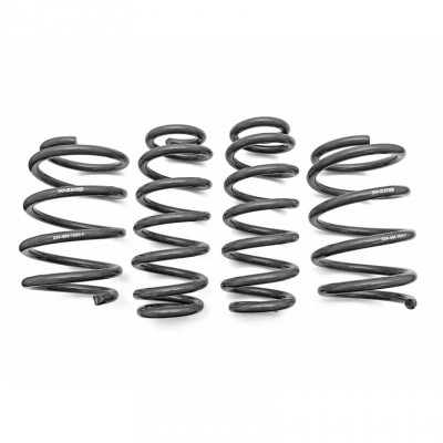 034 Motorsport Dynamic+ Performance Lowering Springs 